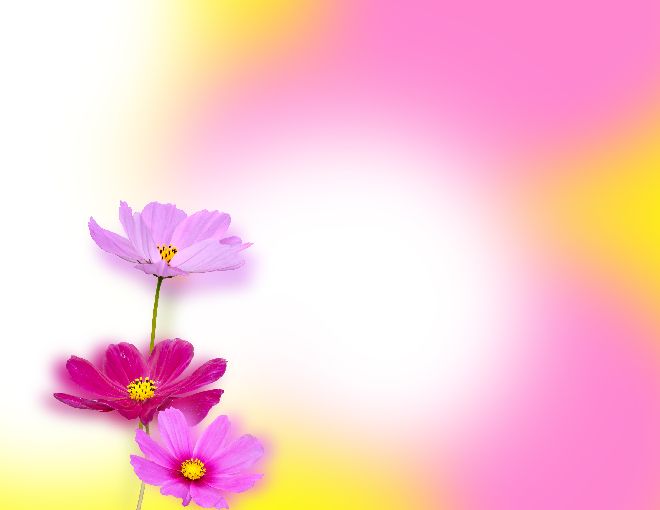 Lovely flowers PPT background & Google Slides