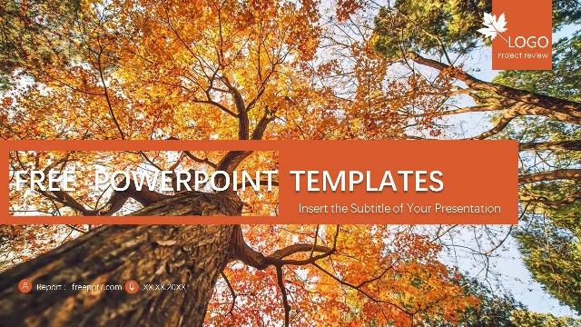 Maple Leaf 07 PowerPoint Template